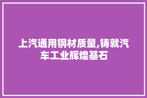 上汽通用钢材质量,铸就汽车工业辉煌基石