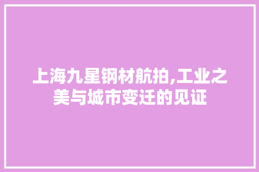 上海九星钢材航拍,工业之美与城市变迁的见证