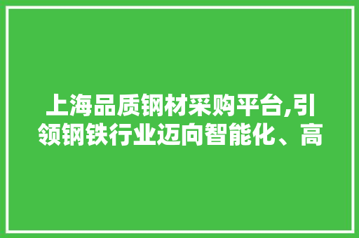 上海品质钢材采购平台,引领钢铁行业迈向智能化、高效化发展