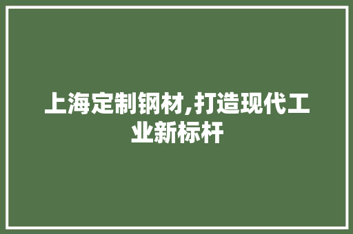 上海定制钢材,打造现代工业新标杆