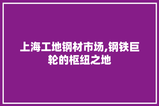 上海工地钢材市场,钢铁巨轮的枢纽之地