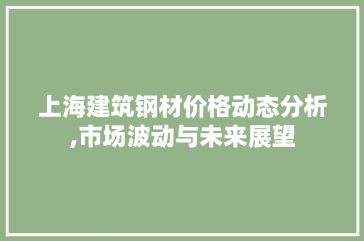 上海建筑钢材价格动态分析,市场波动与未来展望