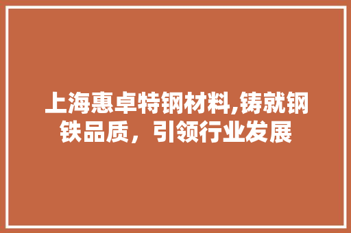 上海惠卓特钢材料,铸就钢铁品质，引领行业发展