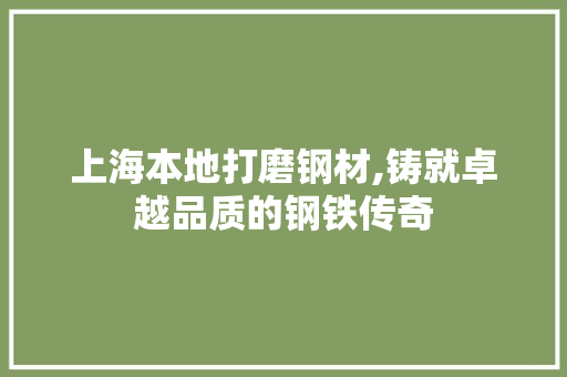 上海本地打磨钢材,铸就卓越品质的钢铁传奇