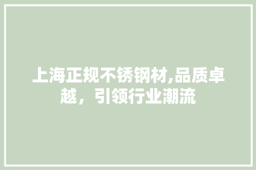 上海正规不锈钢材,品质卓越，引领行业潮流
