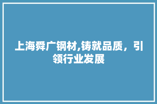 上海舜广钢材,铸就品质，引领行业发展