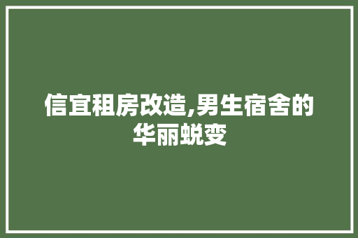 信宜租房改造,男生宿舍的华丽蜕变