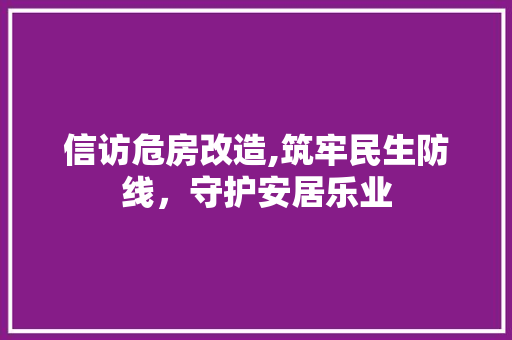 信访危房改造,筑牢民生防线，守护安居乐业