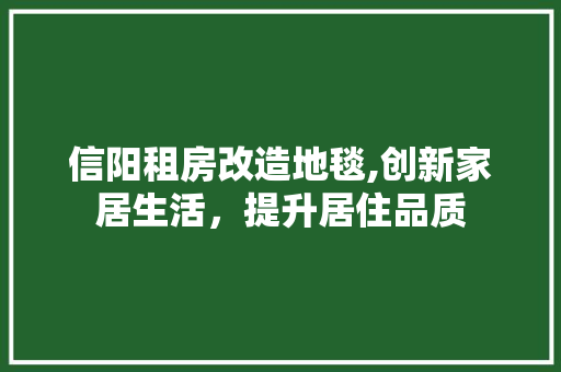 信阳租房改造地毯,创新家居生活，提升居住品质