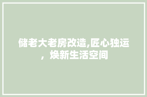 储老大老房改造,匠心独运，焕新生活空间