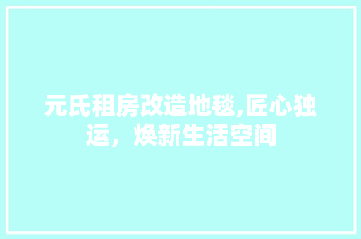 元氏租房改造地毯,匠心独运，焕新生活空间