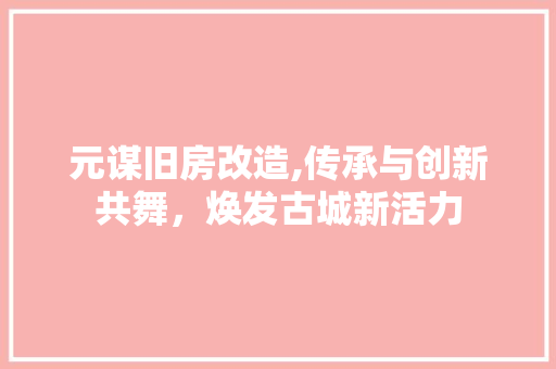 元谋旧房改造,传承与创新共舞，焕发古城新活力
