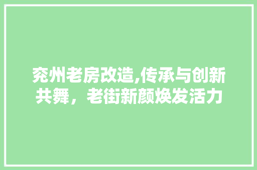 兖州老房改造,传承与创新共舞，老街新颜焕发活力