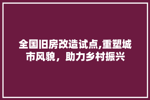 全国旧房改造试点,重塑城市风貌，助力乡村振兴
