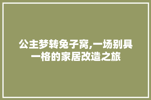 公主梦转兔子窝,一场别具一格的家居改造之旅