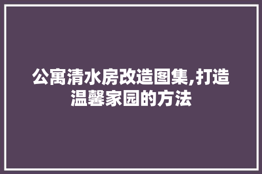 公寓清水房改造图集,打造温馨家园的方法