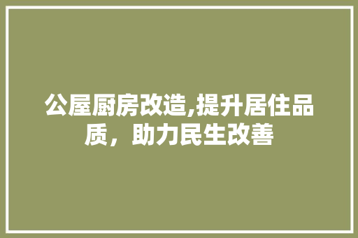 公屋厨房改造,提升居住品质，助力民生改善