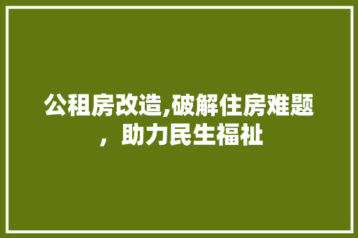 公租房改造,破解住房难题，助力民生福祉