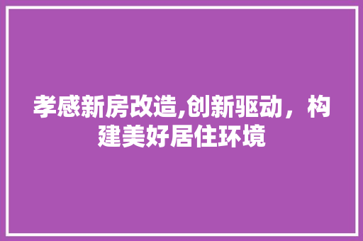 孝感新房改造,创新驱动，构建美好居住环境