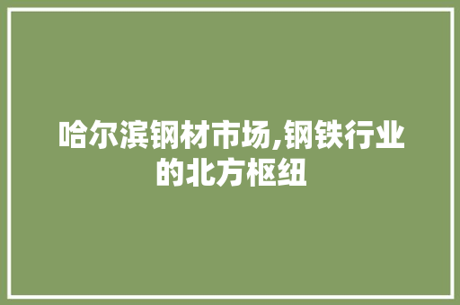 哈尔滨钢材市场,钢铁行业的北方枢纽