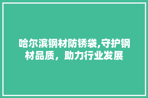 哈尔滨钢材防锈袋,守护钢材品质，助力行业发展