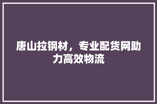唐山拉钢材，专业配货网助力高效物流