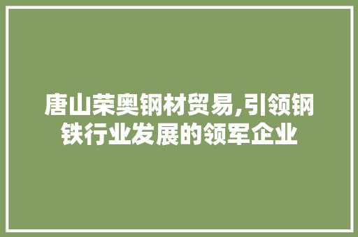 唐山荣奥钢材贸易,引领钢铁行业发展的领军企业