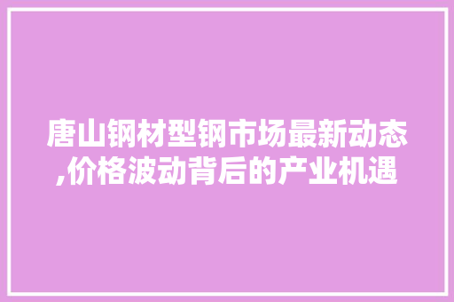 唐山钢材型钢市场最新动态,价格波动背后的产业机遇