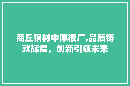商丘钢材中厚板厂,品质铸就辉煌，创新引领未来