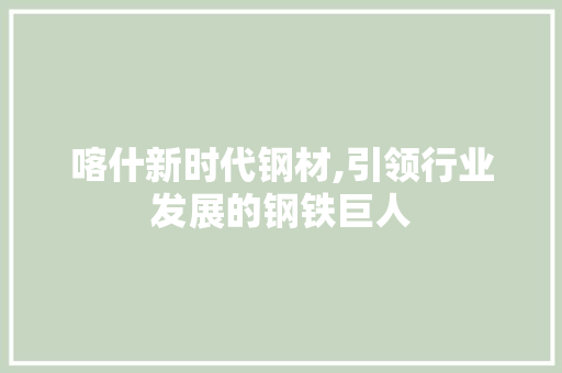 喀什新时代钢材,引领行业发展的钢铁巨人