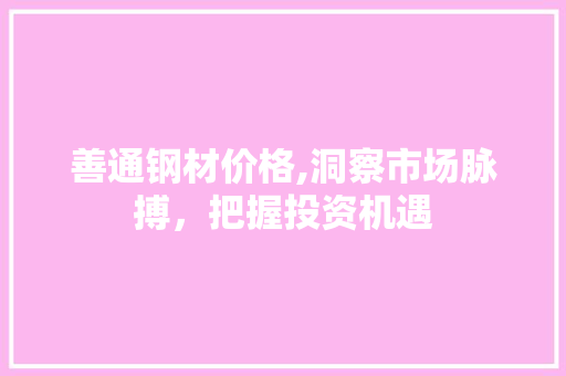 善通钢材价格,洞察市场脉搏，把握投资机遇