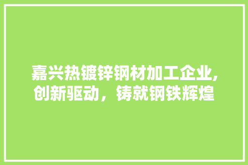 嘉兴热镀锌钢材加工企业,创新驱动，铸就钢铁辉煌