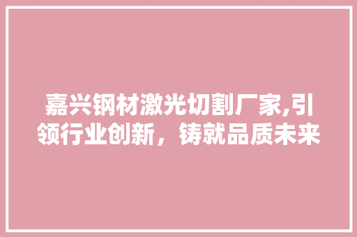 嘉兴钢材激光切割厂家,引领行业创新，铸就品质未来