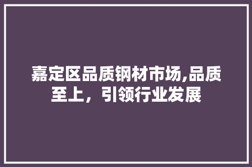 嘉定区品质钢材市场,品质至上，引领行业发展