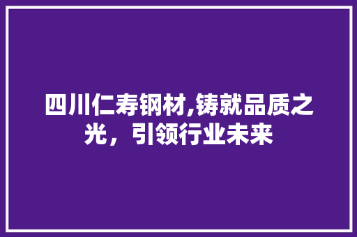 四川仁寿钢材,铸就品质之光，引领行业未来