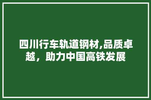 四川行车轨道钢材,品质卓越，助力中国高铁发展