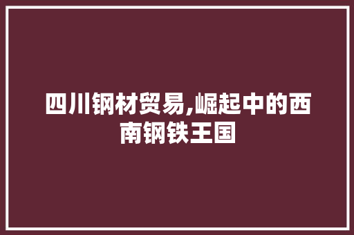 四川钢材贸易,崛起中的西南钢铁王国