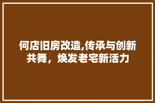 何店旧房改造,传承与创新共舞，焕发老宅新活力
