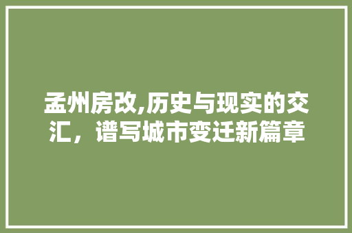 孟州房改,历史与现实的交汇，谱写城市变迁新篇章