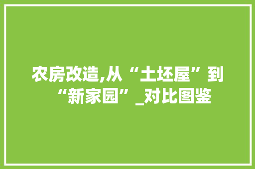农房改造,从“土坯屋”到“新家园”_对比图鉴