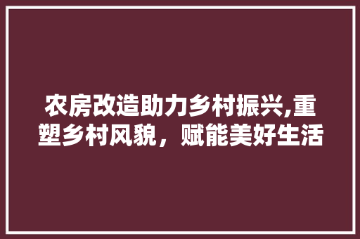 农房改造助力乡村振兴,重塑乡村风貌，赋能美好生活