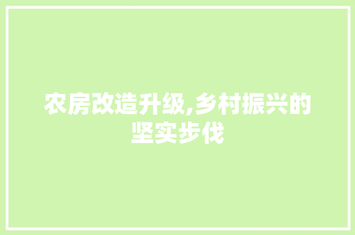 农房改造升级,乡村振兴的坚实步伐