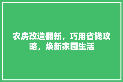 农房改造翻新，巧用省钱攻略，焕新家园生活