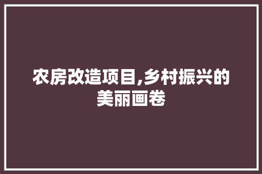 农房改造项目,乡村振兴的美丽画卷