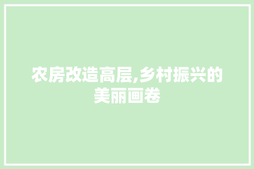 农房改造高层,乡村振兴的美丽画卷
