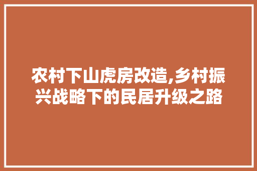 农村下山虎房改造,乡村振兴战略下的民居升级之路