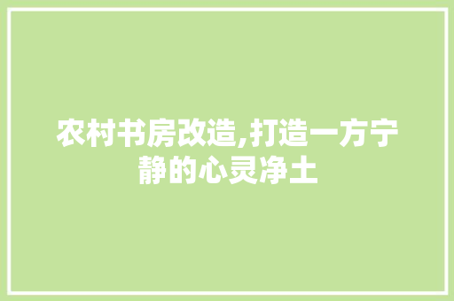 农村书房改造,打造一方宁静的心灵净土