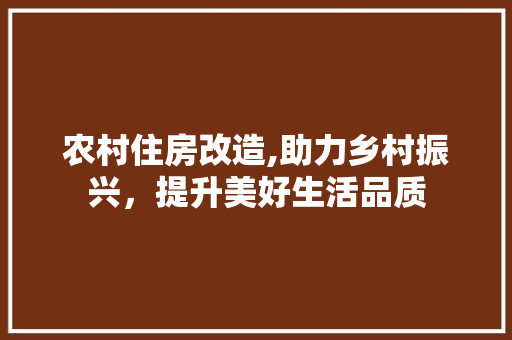 农村住房改造,助力乡村振兴，提升美好生活品质