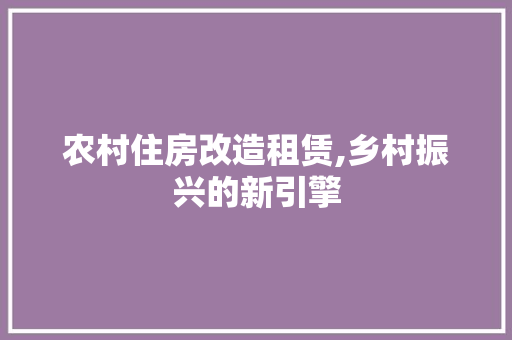 农村住房改造租赁,乡村振兴的新引擎