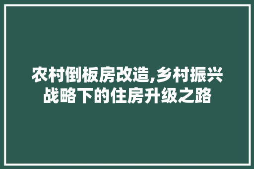 农村倒板房改造,乡村振兴战略下的住房升级之路